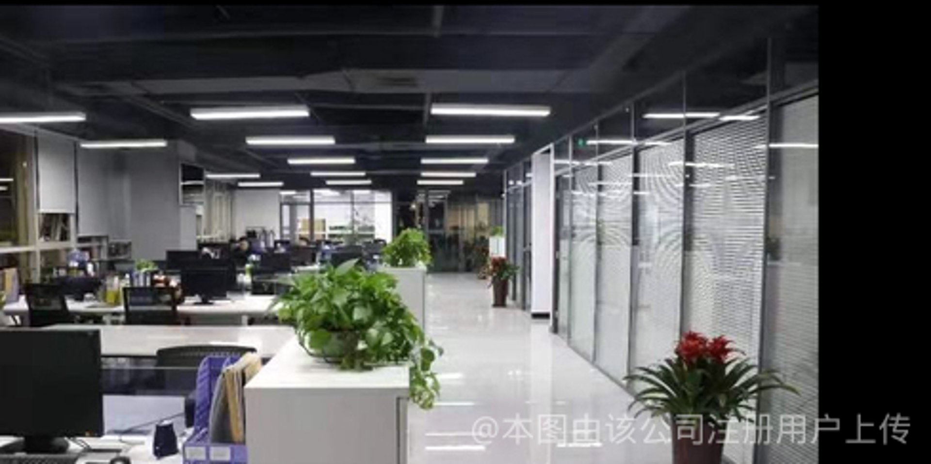 生物科技公司的未来：解锁生命科学的新篇章