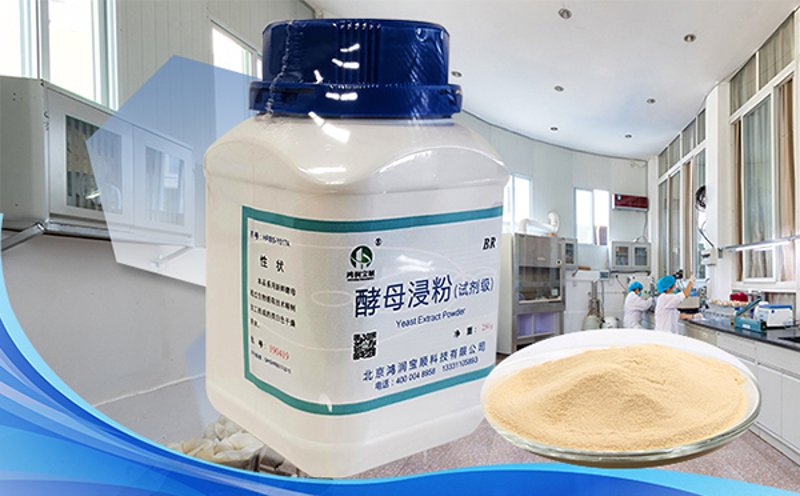 生物制品生产：探索生命科技的新高地