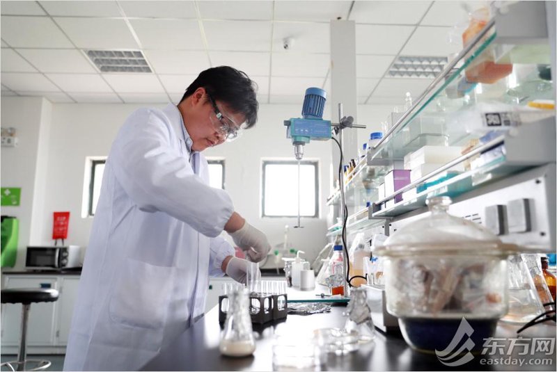 生物科技公司的未来:解锁生命科学的新篇章