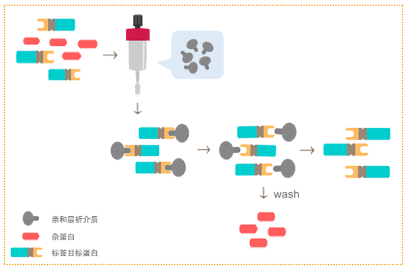 生物科技公司的安装与维护指南