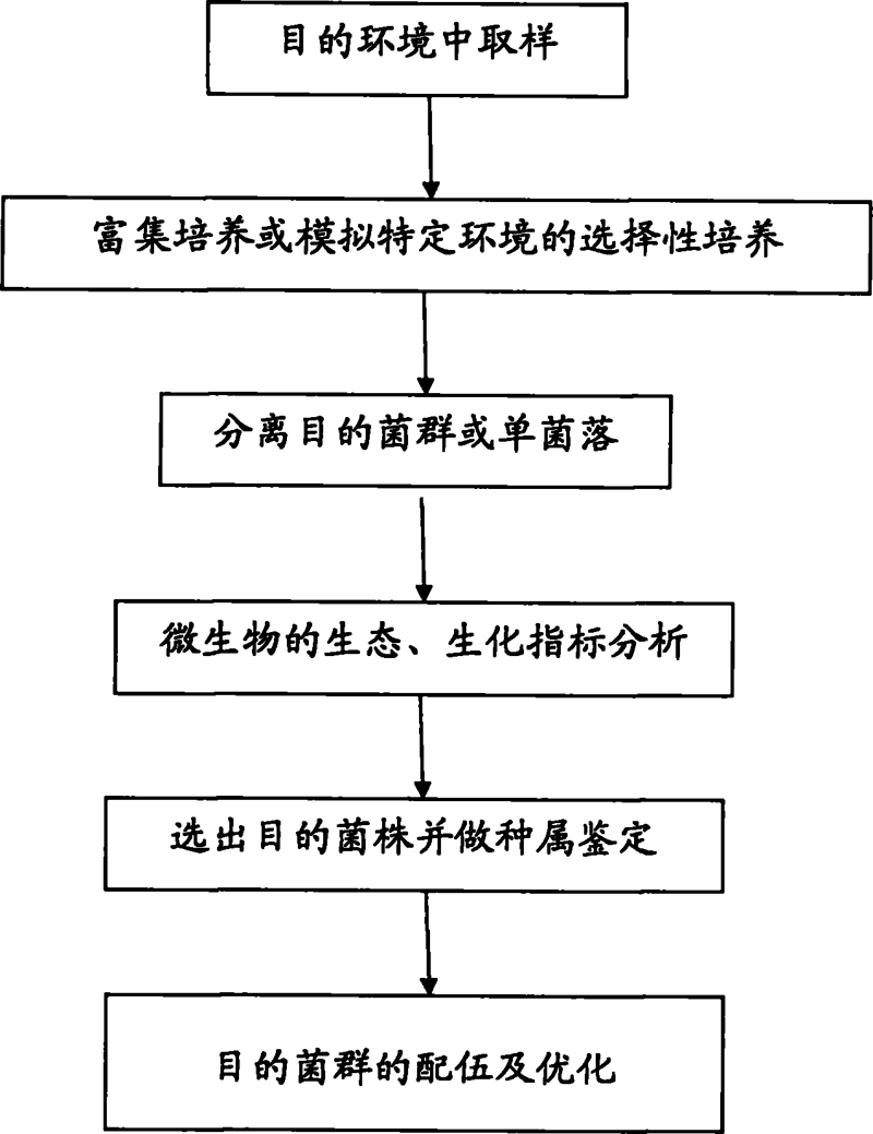 微生物发酵技术在环保领域的最新进展