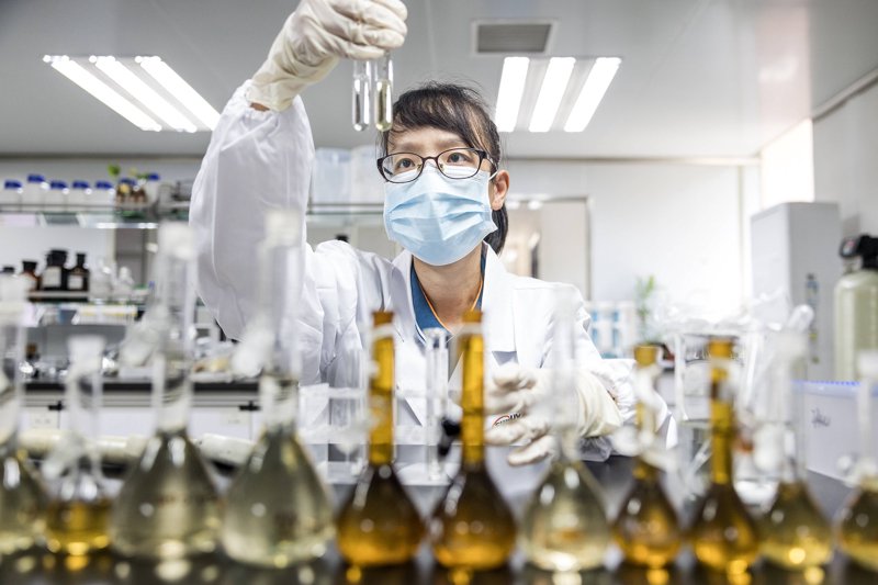 生物技术研发：解锁生命的无限可能